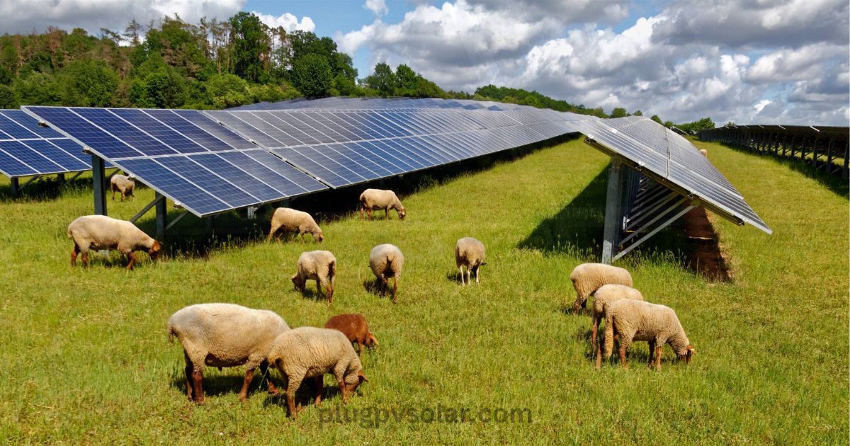 agriculture solar solution in pakistan